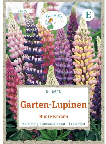 Grüne Fee - Garten-Lupinen Bunte Kerzen Samen - 13415
