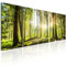 B&D XXL - Wandbilder XXL Wald 200x80 cm 5 tlg - Wand Deko Leinwand Bilder Groß Wandbild Wohnzimmer Bild Schlafzimmer Kunstdruck Panoramabild - Waldlandschaft Natur Bäume Sonnenaufgang c-C-0177-b-n