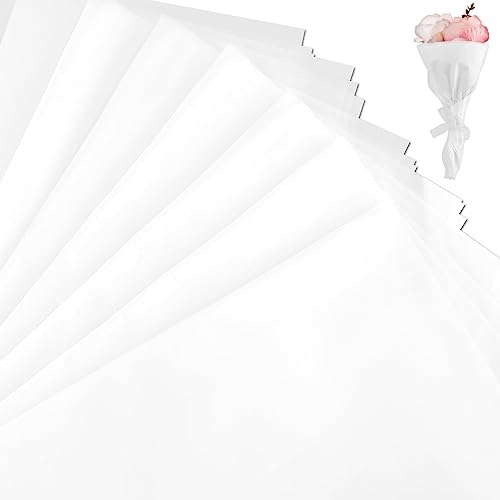 50 Blatt Säurefreies Seidenpapier, 50,8 x 76,2cm Säurefreies Geschenkpapier Archiv Seidenpapier Säurefreies Papier zum Schutz zur Aufbewahrung von Kleidung zum Basteln (Weiß)