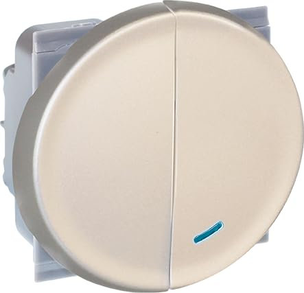 EUR'OHM Interrupteur va et vient lumineux + bouton poussoir - COMETE Couleur Titane - Interrupteur et prise