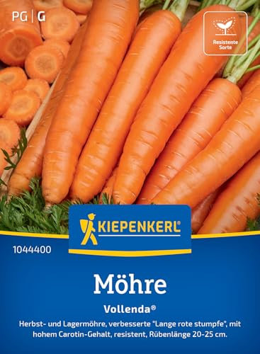 Kiepenkerl Möhrensamen Vollenda 1044400 - Hoher Carotingehalt, ertragreiche Gemüsesamen, resistente und pflegeleichte Pflanzen, Rübenlänge 20-25 cm