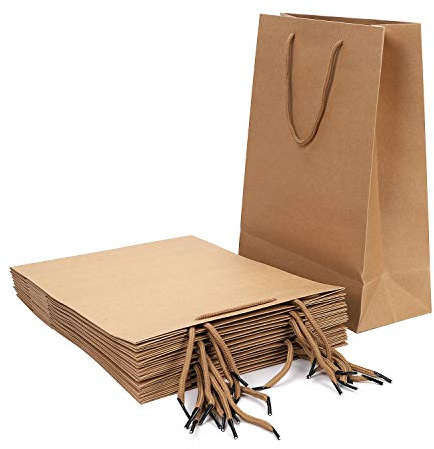 10 x Paper Carrier Bags Large Kraft Gift Bags Party Bags with Handle Reusable Bag Present Treat Bags Tote Bag for Birthday, Wedding, Christmas Party, Shopping (10Pcs Kraft Paper Bags Size M)