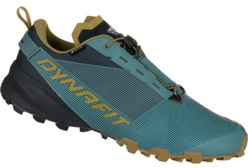 Dynafit Herren Traverse GTX Bergschuhe, Storm Blue Blueberry, 45 EU