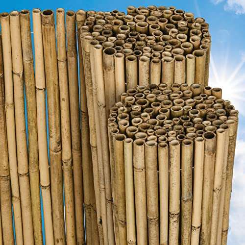Sol Royal Bambus Sichtschutz Zaun 80x250 cm SolVision B38 - langlebiger & witterungsbeständiger 100% Bambus FSC® Sicht Schutz Indoor & Outdoor für Balkon, Terrasse, Garten - Windschutz & Sonnenschutz