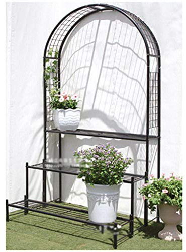 Arche De Jardin avec Support De Pot De Fleur, Arche De Support pour Plantes Grimpantes, Pergola en Fer, Tonnelle De Jardin, 99,5 Cm X 60 Cm X 180 Cm (Noir)