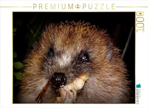 CALVENDO Puzzle EIN Motiv aus dem Kalender Meine Igel | 1000 Teile Lege-Größe 64 x 48 cm Foto-Puzzle für glückliche Stunden