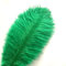 Crenze 10Pcs Straußenfedern 12-14Inch (30-35cm) Für Haus Hochzeitsdekoration bietet (Grün)