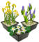 vdvelde.com - Teichpflanzen Set - Weiße Zwergseerose - - Kombi-Set- 9 Pflanzen- Platzierung: -1 bis -40 cm