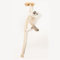 Wall Mounted Cat Tree, Cat Wall Furniture with Climbing Rope and Resting Platform White for Indoor Outdoor(200cm/79in)