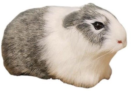 Meerschweinchen Kuscheltier Kleine Hamster, Realistische Hamster Plüschtiere Spielzeug, Lustige Kinder Stofftiere für Kuscheltier Valentinstag Geburtstagsgeschenk (B)