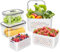 3 x Food Storage Boxes Fridge Storage Box with Removable Strainer Airtight Food Picnic Storage Containers for Fruits Vegetables (3 x with Handle)