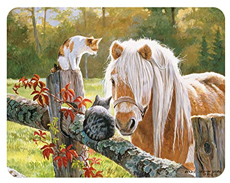 3D LiveLife Magnet - Just Visiting from Deluxebase. Lenticular 3D Horse Fridge Magnet. Magnetic decor for kids and adults with artwork licensed from renowned artist, Persis Clayton Weirs