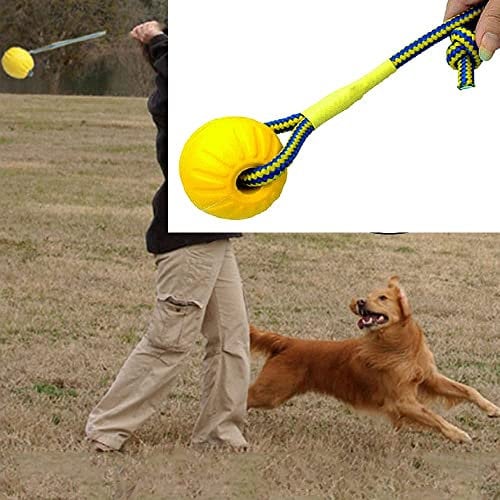 FANGHUIER Dog Rope Ball Ball on a Rope Dog Toy Natural Elastic Rubber Dogs Balls Chew Toys for Small Dogs(7cm)