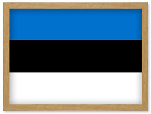Artery8 Estonia National Flag Patriotic Vexillology World Flags Country Region Poster Artwork Framed Wall Art Print A4