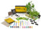 DIBYS Anzucht-Set für Kinder | Komplettes Garten-Set mit Kräuter-Samen, Holzwerkzeug, Erde, Farben & Anzuchtbox zum Bemalen | Kreative Geschenk-Idee für Jungen & Mädchen | Pflanzen-Set