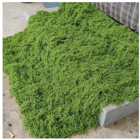 ZLRBN Kunstrasen Moos Deko, Kunstrasen, Künstliche Moosflechten, 1x1m, für Die Dekoration von Urlaubslandschaften (E-100x100cm/3.3x3.3ft)