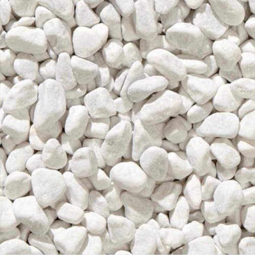 EffeDecor - Ciottoli Bianchi da Giardino 20 Kg Sassi Sassolini Decorativi per Vasi,Acquario,Vialetti,Aiuole e Interni (Bianco, Granulometria 15/25 mm)