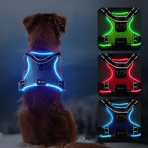 MASBRILL Leuchtgeschirr für Hunde Aufladbar, Hundegeschirr Leuchtend ür Klein Mittelgroße Grosse Hund, LED Hundegeschirr Verstellbar Reflektierende Brustgeschirr Beleuchtetes Hundegeschirr(Blau, S)