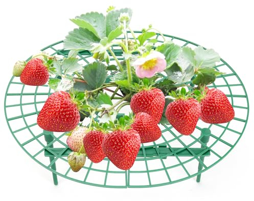 AROMUJOY Lot de 10 Supports de Fraises Mûres à Fraises, Grille pour Fraisier en Plastique, Cadre De Culture De Fraises, Protection Contre Limaces Escargot et Pourriture, Diamètre Ajustable 30 à 40 cm