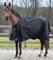 HORZE Nevada 1200D Regendecke für Pferde, leicht, wasserdicht, ohne Füllung, Schwarz, 167,6 cm
