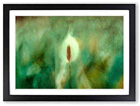 Peace Lily in Abstract Framed Print | A2 Black Framed Wall Art | Ready to Hang | Abstract Floral Picture | Living Room Bedroom Lounge Office