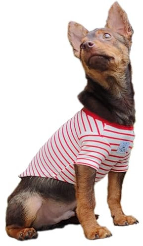 YQYS Pet Dog T-Shirts Striped Cotton Tee Shirt for Small Dogs and Cats Puppy Clothes Dog Apparel Teacup Dog Clothing for Chihuahua Yorkie Poodle Red White XSmall