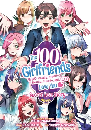 The 100 Girlfriends Who Really, Really, Really, Really, Really Love You: Secret Love Story (Light Novel)