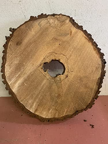 Baumscheibe, Holzscheibe, ca 60x5cm Epoxidharz