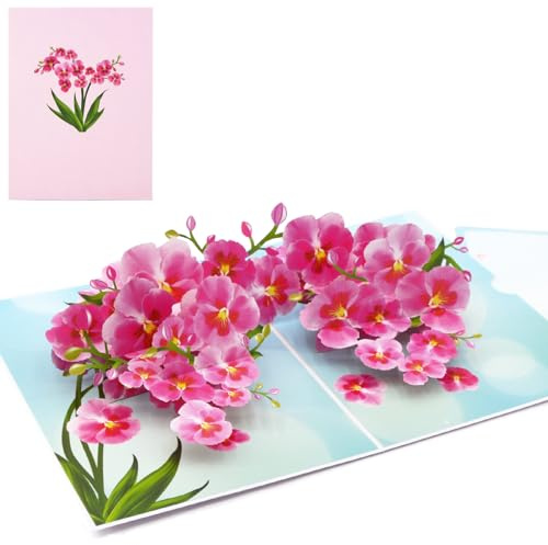 Fassory Biglietto popup 3D con orchidea rosa, per compleanno, ringraziamento, anniversario, pensiero, buona fortuna, congratulazioni (orchidea rosa)
