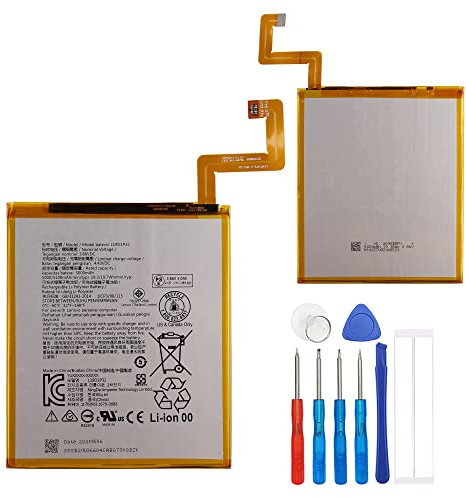 E-yiiviil Batterie de rechange L19D1P32 compatible avec Lenovo Tab M10 FHD Plus TB-X606X TB-X606F TB-X306F