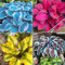 Rizoma Di Hosta Rizoma Hosta Hosta Hosta Pianta Hosta Pianta In Vaso Fiori Da Giardino E Piante Bonsai-4bulbi-b