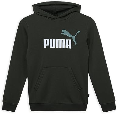PUMA ESS+ 2 Col Big Logo Hoodie FL B