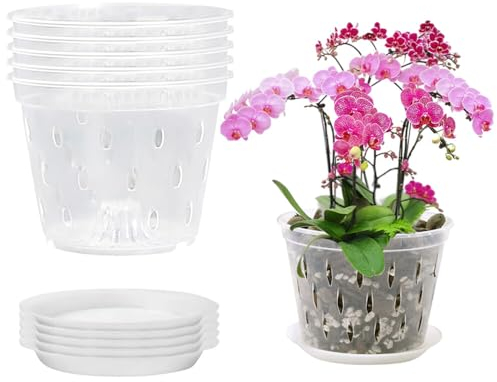 IXYHKB Confezione da 5 vasi trasparenti per orchidee, 14 cm, in plastica con fori e piattini, vasi per vivaio per piante e rinvaso, casa e ufficio