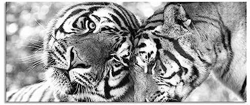 Pixxprint Glasbild Panorama, Wandbild aus Echtglas, Zwei liebkosende Tiger Kunst B&W, 120x50 cm, inkl. Aufhängung und Abstandshalter