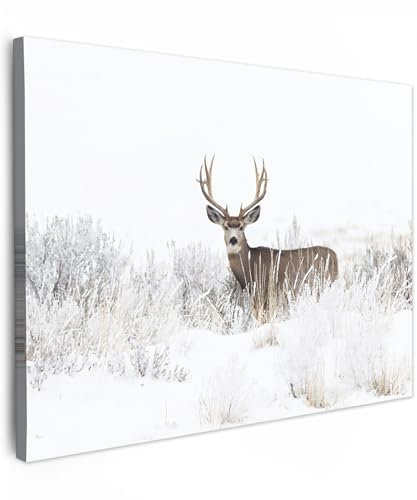 MuchoWow© Leinwand 80x60 cm Deko Schlafzimmer Aesthetic Leinwandbilder Wohnzimmer Gemälde Foto Geschenk Living Room Decoration Hirsch Bild - Rotwild - Reh - Winter - Schnee - Tiere - Weiß