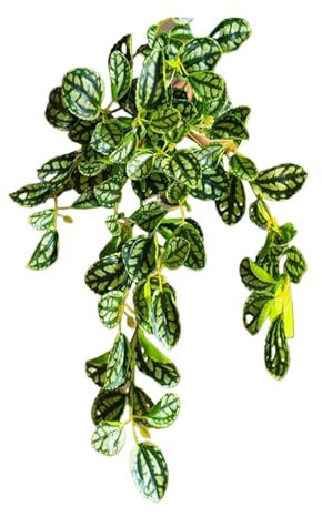 MIUYTRN Plantas Colgantes Falsas de 45cm, Hojas Artificiales de ratán, Hierba sintética, Vid, Hojas de Begonia de plástico, lianas de Pared, Plantas for decoración de bonsái de Escritorio cuicui(45cm