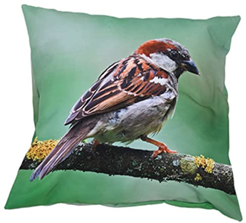 Esschert Design Outdoorkissen S mit Haussperlingmotiv 40 x 40 cm aus Polyester