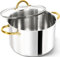 MICHELANGELO Stainless Steel Pot with Lid - 10L Soup Pot, Large Stock Pot, Induction Compatible