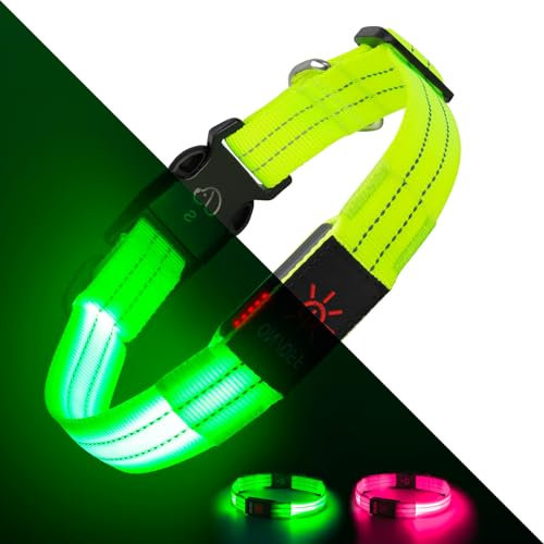 Light Up Dog Collars, LED Dog Collar Light Adjustable USB Rechargeable Super Bright Safety Light Glowing in The Dark Reflective Dog Collar for Medium Large Small Dogs