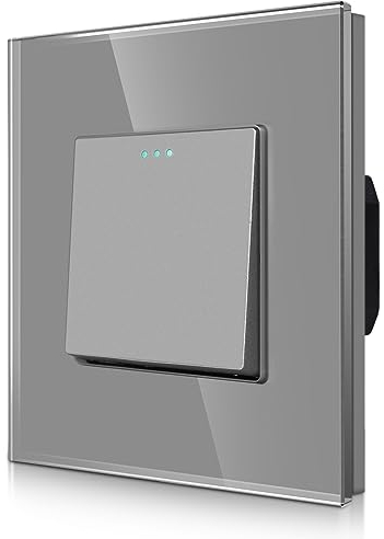 CNBINGO Rocker Interruptor de luz de 1 vía, interruptor de luz de cristal, moderno panel de pared con puntos luminosos, gris