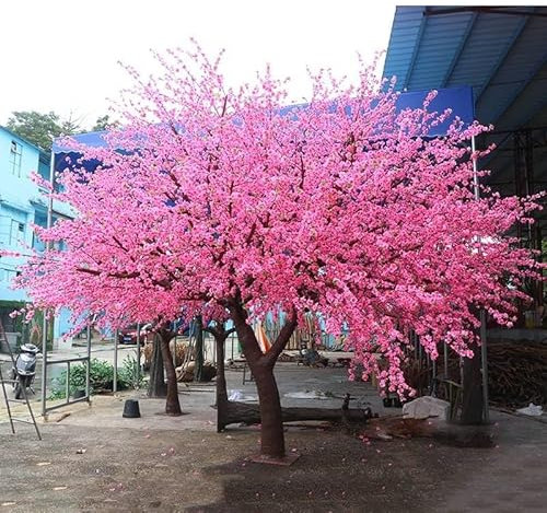 Arbres De Fleurs De Cerisier Artificiels - Grand Arbre À Fleurs Japonais - Rose - Tiges De Bois Véritable Et Feuilles Réalistes Plante Ornementale Artificielle Modelant Un Faux Arbre Sakura Décoration