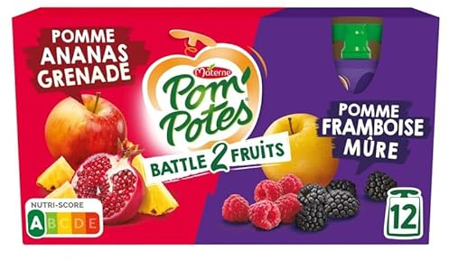 Gourdes Compote Pom'Potes 2 Fruits Pomme Sans Sucres - Snack Sain et Pratique - 12x90g - Le Lot De 3