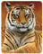 3D LiveLife Magnet - Aloof from Deluxebase. Lenticular 3D Tiger Fridge Magnet. Magnetic decor for kids and adults with artwork licensed from renowned artist, Jeremy Paul
