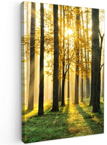 MuchoWow© Leinwand Bilder 60x90 cm Wanddeko Wohnzimmer Aesthetic Room Decor Deko Zimmer Wandbilder Modern Fotogeschenke Bild Wald - Sonne - Bäume - Gras - Landschaft - Natur