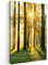 MuchoWow© Leinwand Bilder 60x90 cm Wanddeko Wohnzimmer Aesthetic Room Decor Deko Zimmer Wandbilder Modern Fotogeschenke Bild Wald - Sonne - Bäume - Gras - Landschaft - Natur