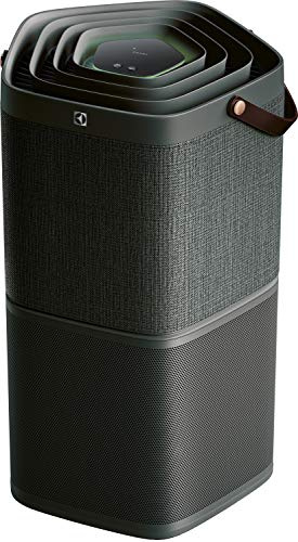 Electrolux PA91-404DG angeschlossener Luftreiniger mit Batterieschutz und Geruchsfilter für bis zu 92 qm, Kunststoff, Grau (Anthrazit)