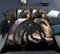 WQIZXCW Drachen Bettwäsche 135x200 Jungen Teenager - Bettbezug 135 x 200 2er Set für Jugendliche, Weiche Mikrofaser Bettwäsche-Sets, Bettbezüge und 1 Kissenbezug 80x80 cm mit Reißverschluss