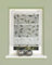 HOME WOHNIDEEN 91515 Magnetrollo RANA Ausbrenner Bambus, Ranken-Motiv, Fensterhaken, Farbe:grau, Größe:210 x 70 cm, Anzahl:1