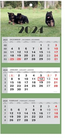JAROGRAF Wandkalender 2026 – 3-Monats-Kalender mit praktischem Wandplaner für effiziente Jahresplanung, Feiertage, Schulferien und wichtige Termine (Hunde) Dreimonatskalender