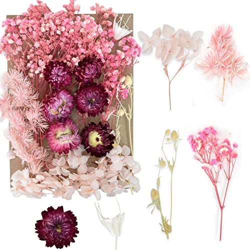 Flores Secas Naturales, Secas Flores Preservadas, Flores Secas Mezcladas, Juego de Flores Secas, Conjunto de Flores Secas para DIY Decoración Tarjetas Álbum Recorte Velas Manualidades (Rosa)